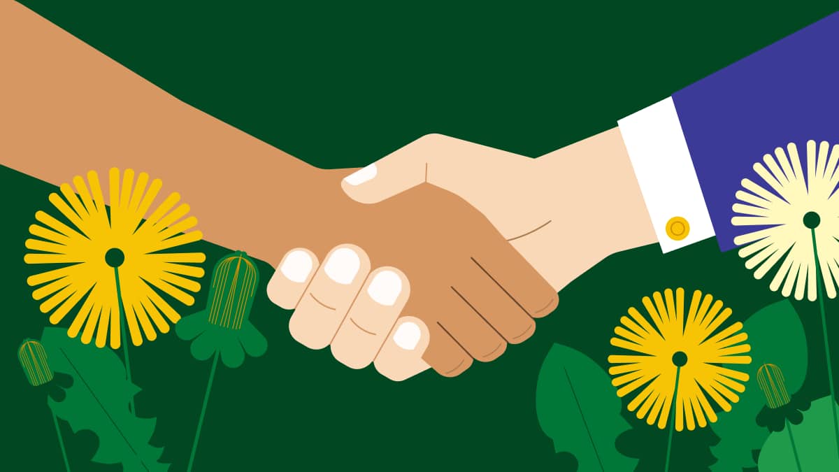 customer-first strategy